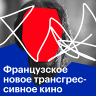 Французское новое трансгрессивное кино