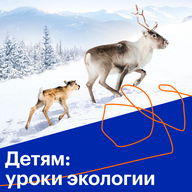 Детям: уроки экологии