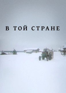 В той стране