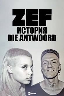 ZEF: История Die Antwoord