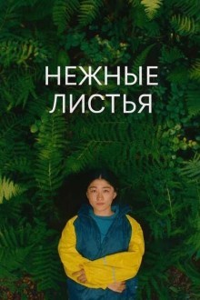 Нежные листья