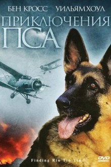 Приключения пса