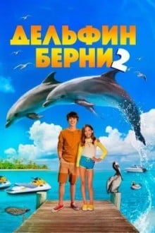 Дельфин Берни 2