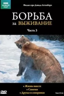 Борьба за выживание