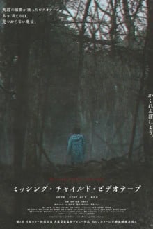 Видеозапись исчезновения ребёнка