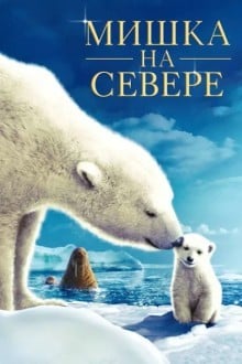 Мишка на Севере