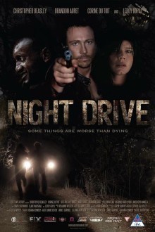 Ночной драйв