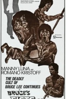 Мстительный кулак Брюса