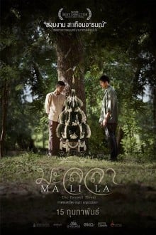 Малила: Прощальный цветок