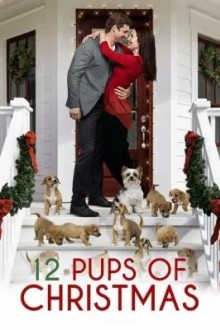 12 щенят Рождества