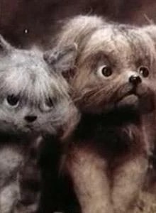 Мы идем искать