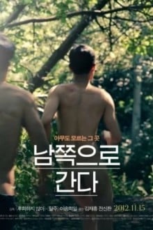 Строго на юг