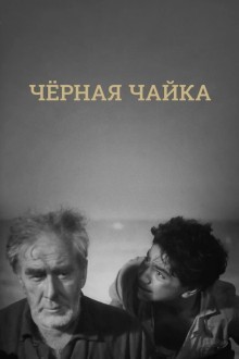 Черная чайка