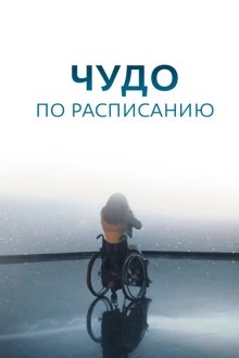 Чудо по расписанию