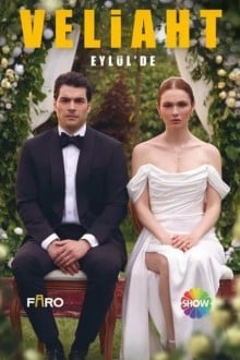 Наследник (Турция)