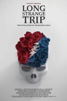 Долгое странное путешествие