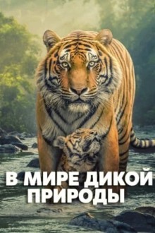 В мире дикой природы