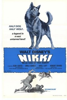 Дикий пес Севера