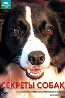 BBC: Секреты собак