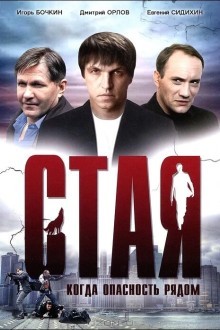 Стая
