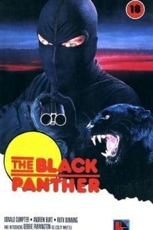 Чёрная пантера