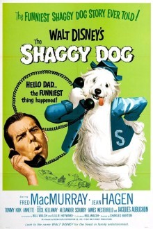 Лохматый пес