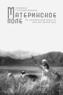 Материнское поле