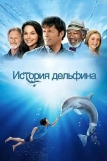 История дельфина