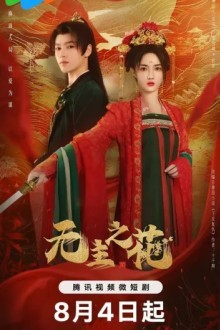 Леди-командир