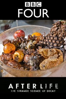 После смерти: Загадочная наука разложения