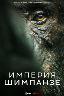 Империя шимпанзе