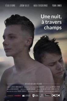 Однажды ночью через поля