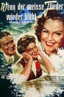 Когда цветет белая сирень