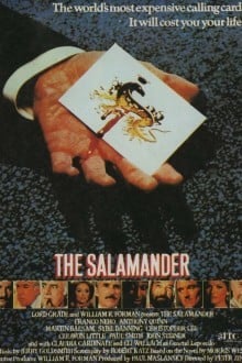 Саламандра