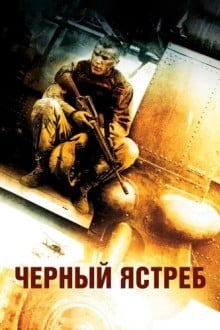 Черный ястреб