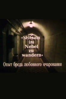 Опыт бреда любовного очарования