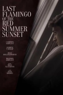 Последний фламинго красного летнего заката