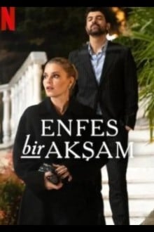 Восхитительный вечер