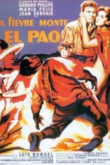 Лихорадка приходит в Эль-Пао