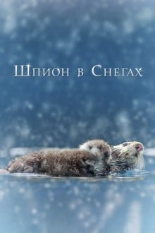Шпион в снегах
