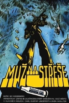 Человек на крыше