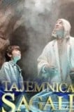 Тайна Сагалы