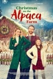 Рождество на ферме альпак