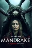 Мандрагора