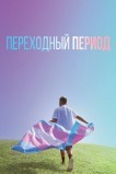 Переходный период