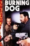Burning Dog