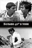 40 градусов в тени