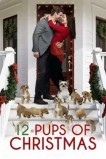 12 щенят Рождества