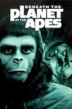 Под планетой обезьян