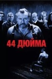 44 дюйма